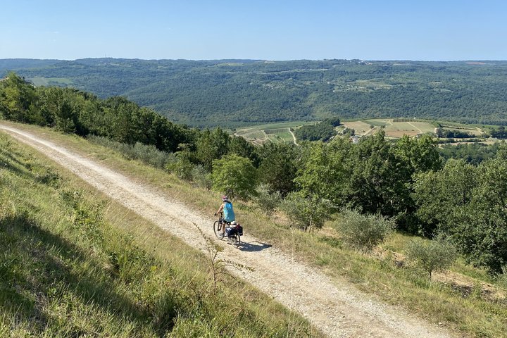 Transilvania a Delta del Danubio Guida Romania Avventura di 11 Giorni
