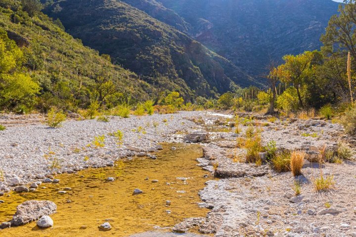 Paquete de audio GPS para conducir Big Bend y Guadalupe (2 tours)