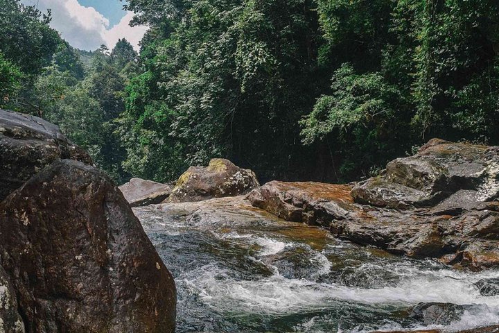 Tour guidato della foresta pluviale di Kanneliya da Galle