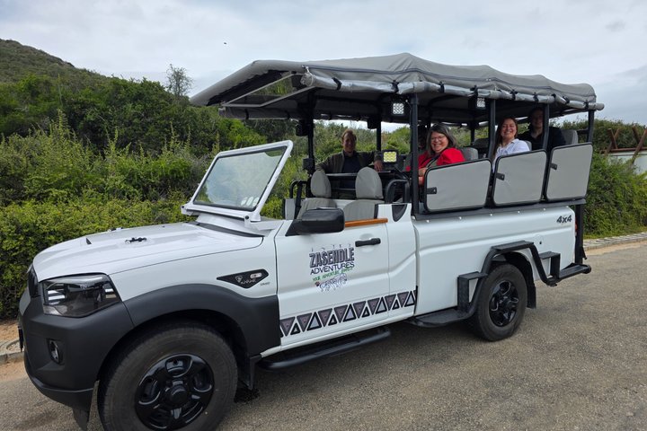 Réserve de chasse Schotia d'une journée et promenade des girafes (véhicule 4x4 ouvert)