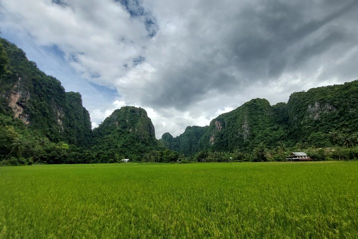 Excursion d'une journée au parc préhistorique de Leang-Leang et au karst de Rammang-Rammang