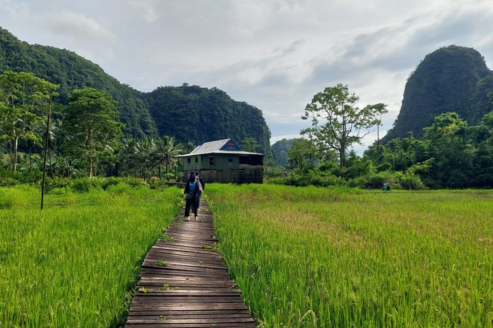 Excursion d'une journée au parc préhistorique de Leang-Leang et au karst de Rammang-Rammang