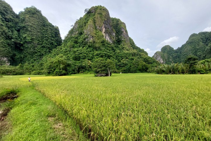 Excursion d'une journée au parc préhistorique de Leang-Leang et au karst de Rammang-Rammang
