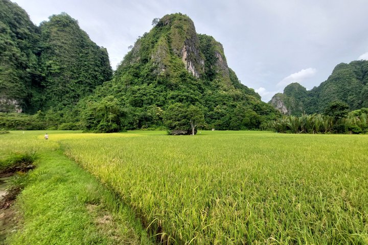 Excursion d'une journée au parc préhistorique de Leang-Leang et au karst de Rammang-Rammang