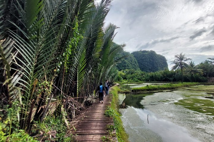 Excursion d'une journée au parc préhistorique de Leang-Leang et au karst de Rammang-Rammang