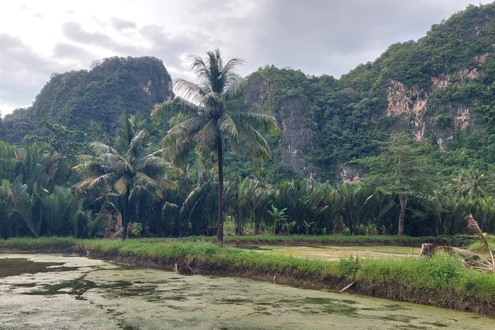 Excursion d'une journée au parc préhistorique de Leang-Leang et au karst de Rammang-Rammang
