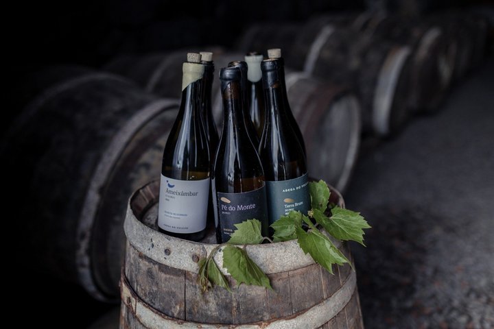 Klassisk smak av 4 vulkanske viner på Solar Terra Brum i Pico