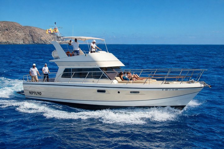 Scoprire le balene a Tenerife: tour in yacht con bagno e pranzo