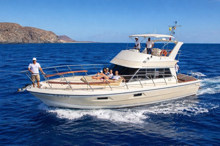 Scoprire le balene a Tenerife: tour in yacht con bagno e pranzo