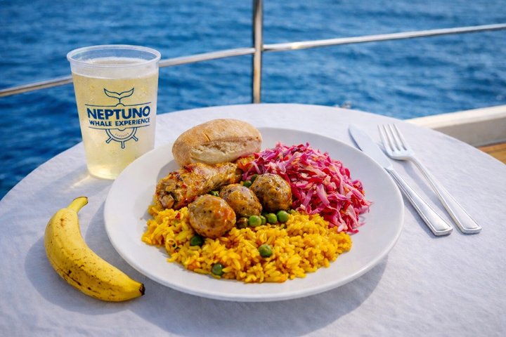 Scoprire le balene a Tenerife: tour in yacht con bagno e pranzo