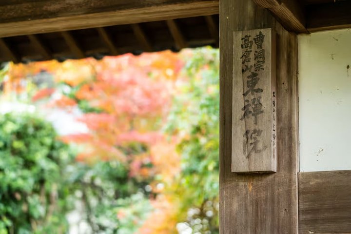 Cérémonie de dégustation et de thé Uji Matcha avec l'ancien Geiko + Uji Walk