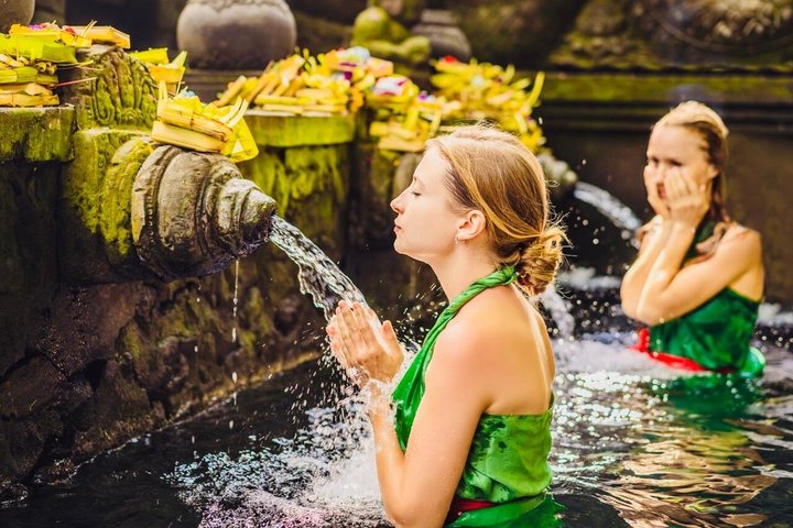 Ubud : All-inclusive privétour met waterval, tempel en rijstterras