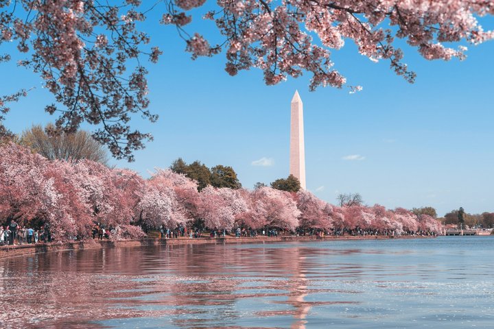 DC en un día : 10 + Monumentos, Crucero en barco, National Mall, Entradas