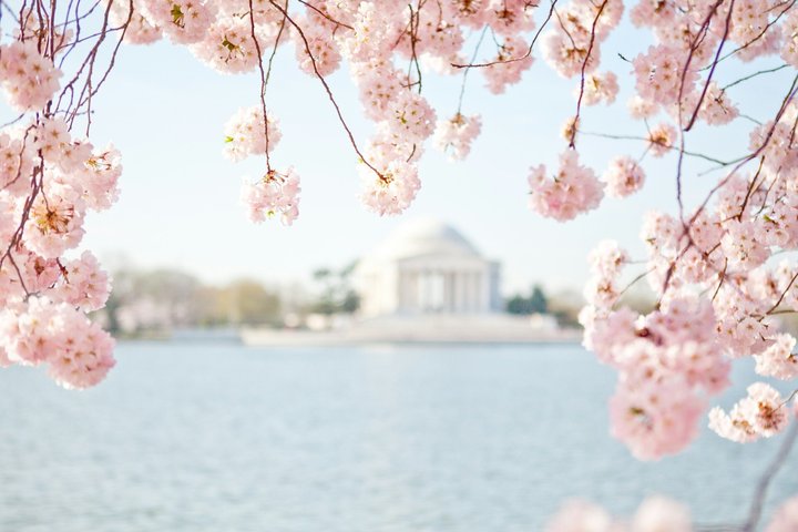 DC en un día : 10 + Monumentos, Crucero en barco, National Mall, Entradas