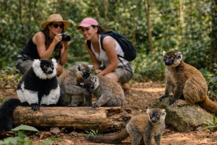 Tour Privado de 3 Días por Andasibe Mantadia