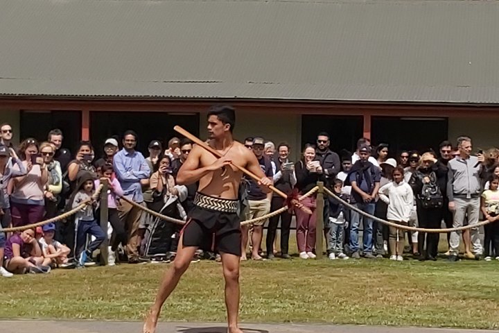 Private Tour Rotorua Landausflug mit bis zu 8 Passagieren