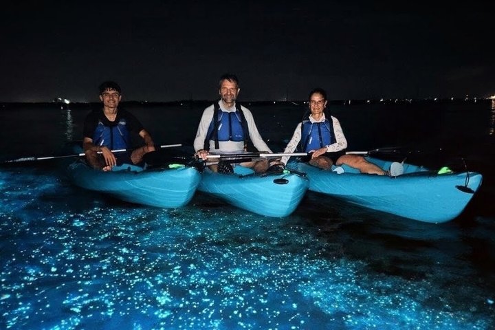 Kajakkturer og utleie. Delfiner, sjøkuer og bioluminescens!