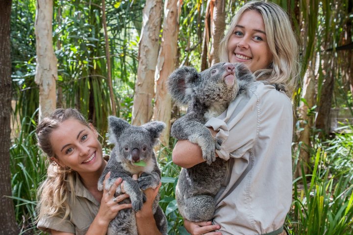Restauranter i nærheten av Koalas Experience on Magnetic Island