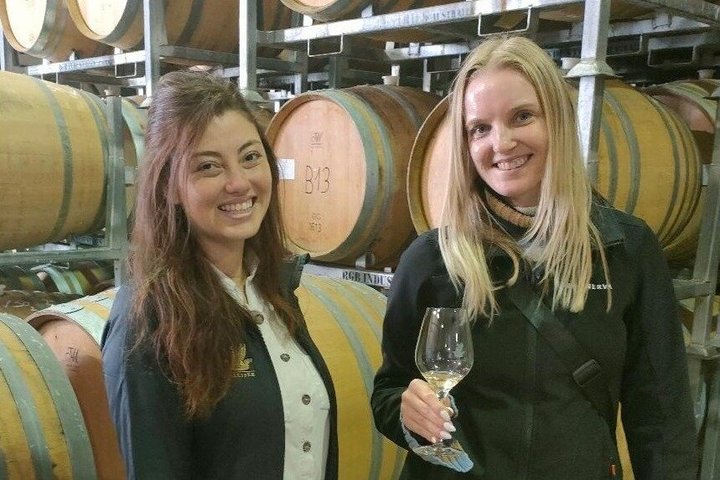 Tour privado por Martinborough para entusiastas del vino