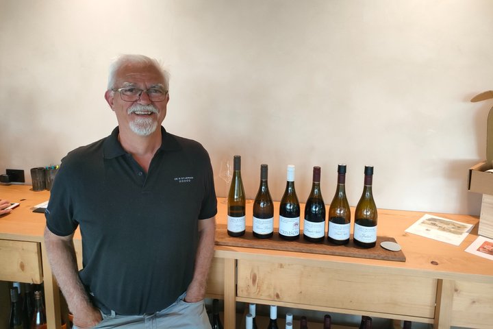 Tour privado por Martinborough para entusiastas del vino