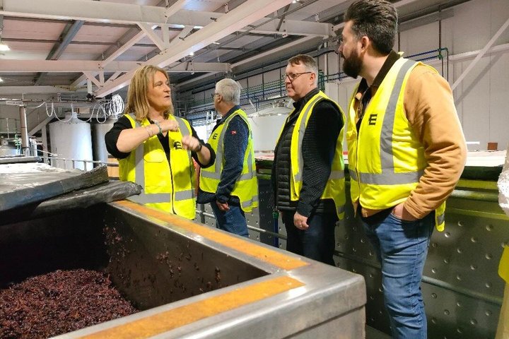 Tour privado por Martinborough para entusiastas del vino