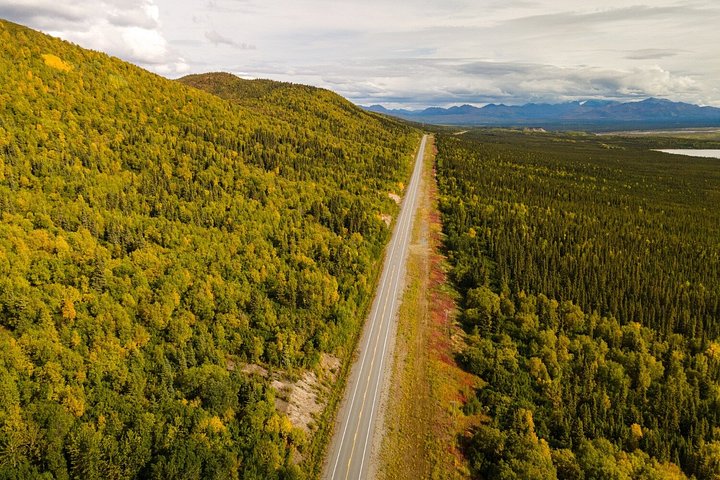 Parks Hwy: Anchorage till Denali Självstyrd GPS-ljudguidad körningstur