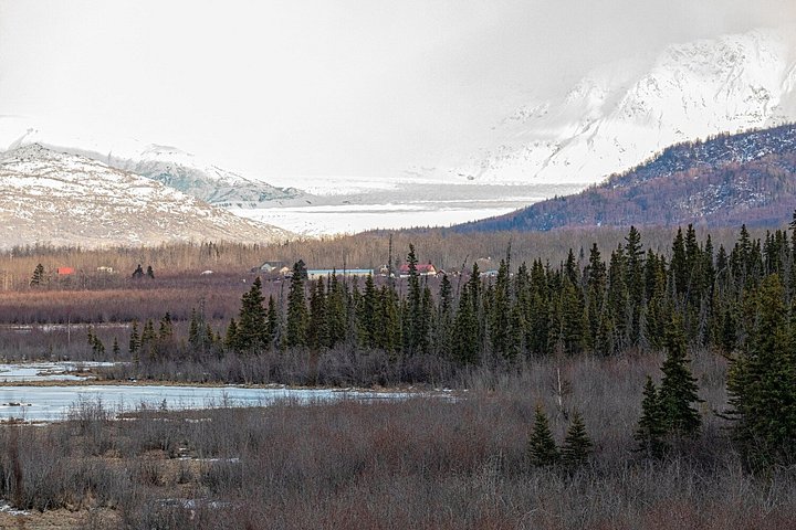 Parks Hwy: Anchorage till Denali Självstyrd GPS-ljudguidad körningstur