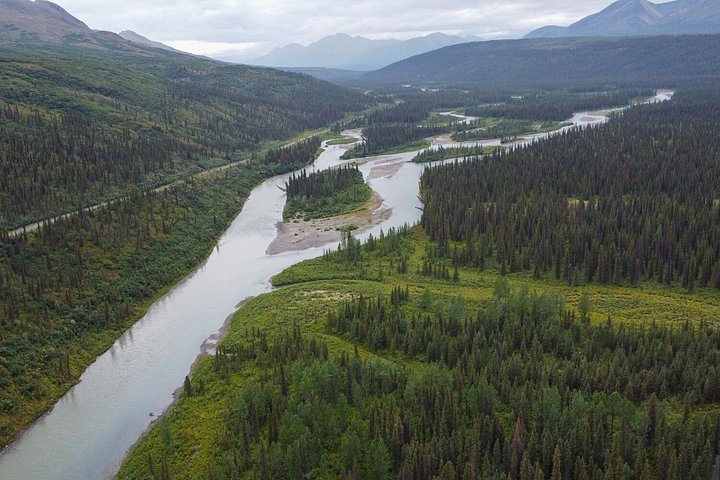 Parks Hwy: Anchorage till Denali Självstyrd GPS-ljudguidad körningstur
