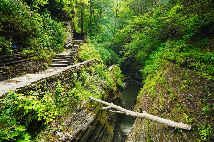 Finger Lakes NY: Ithaca-Watkins Glen Självguidad ljudtur