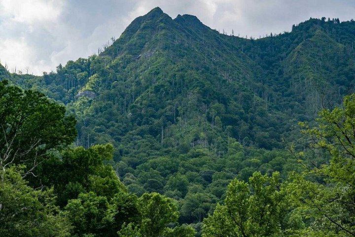 Mystras en Sparta Dagtrip Verken Griekenland Heritage