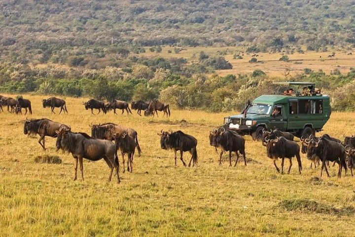 1 - Safari privado de día en Tsavo Este desde Mombasa, Malindi, Watamu