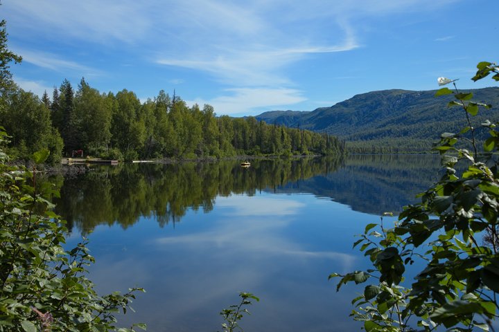 Alaska Road Trip : Anclaje, Seward, Homero & Denali Audio Tour