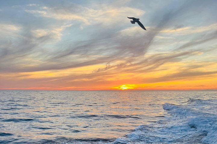 Monterosso: Boottocht door de Cinque Terre, overdag of bij zonsondergang, inclusief aperitief