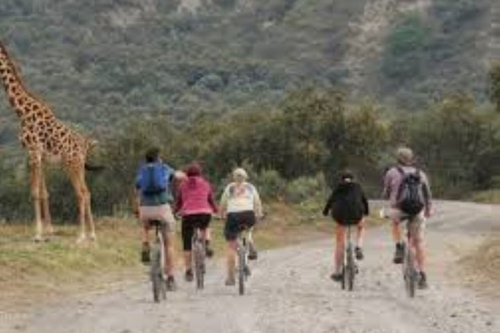 Excursión de un día al parque nacional Hells Gate y paseo en barco por el lago Naivasha