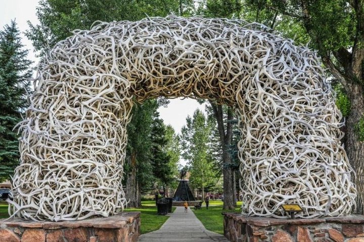 Desde Bozeman Tour clásico de Yellowstone y Teton 2 días y 1 noche