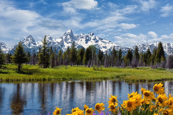 Desde Bozeman Tour clásico de Yellowstone y Teton 2 días y 1 noche