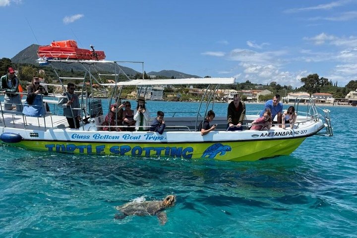 4 horas de aventura en tortuga Zakynthos Mizithres y cueva Eros