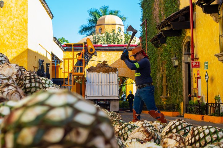 Gita di un giorno in tequila da Guadalajara con Jose Cuervo Express Train