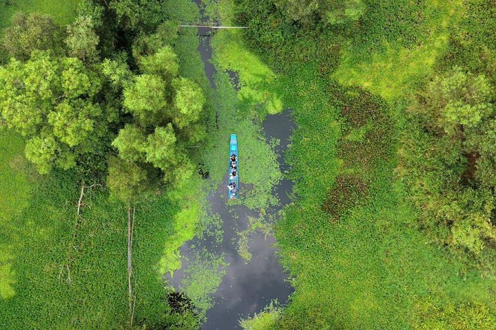 Can Tho : Natuurreservaat Lung Ngoc Hoang & verborgen bossen
