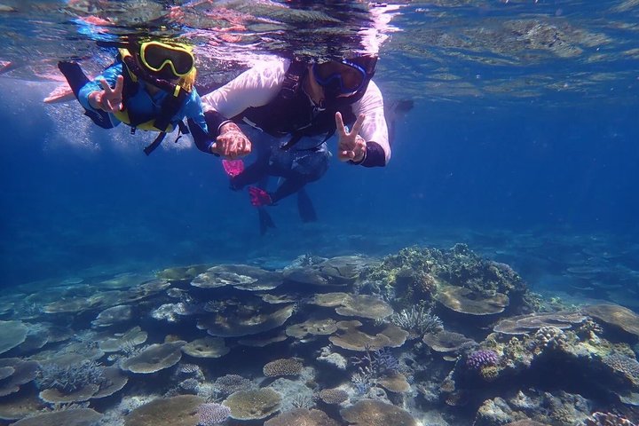 Île d'Iriomote à Okinawa - Excursion d'une journée depuis l'île d'Ishigaki !Plongée en apnée à l'île de Barasu et visite de l'île de Yubu. Photos et location de matériel gratuites.