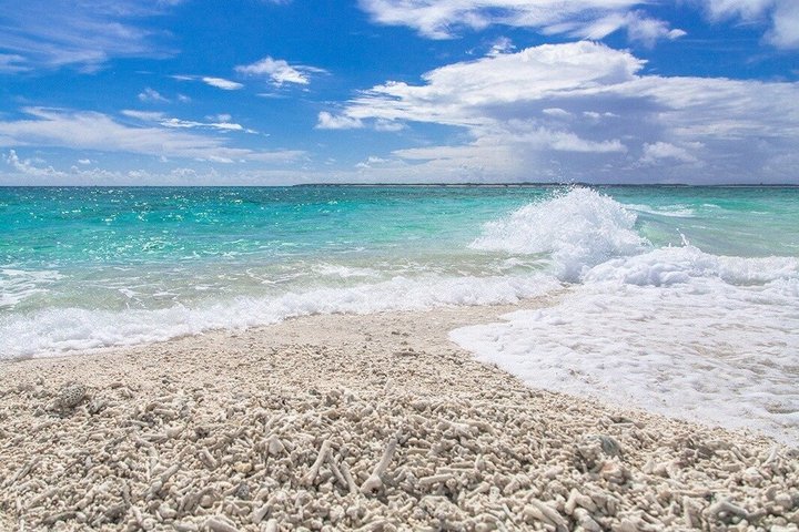 Île d'Iriomote à Okinawa - Excursion d'une journée depuis l'île d'Ishigaki !Plongée en apnée à l'île de Barasu et visite de l'île de Yubu. Photos et location de matériel gratuites.