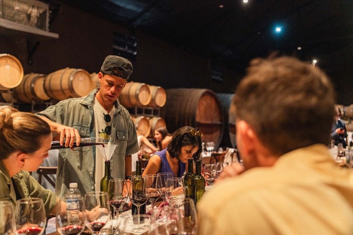 Visita y degustacion en el Enemigo + 2 Bodegas con almuerzo