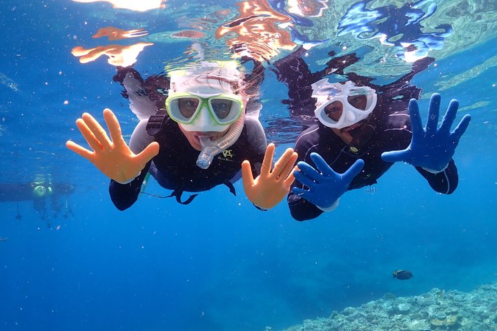 Mergulhe com snorkel na área da caverna azul! [Prefeitura de Okinawa] Alimentação e imagens fotográficas gratuitas!Guia inglês e chinês disponível!