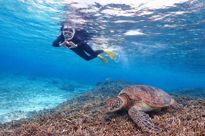 Tour privato di snorkeling di Miyakojima | Guida Inglese fluente