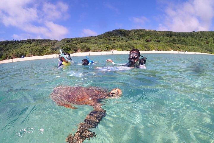 Tour privato di snorkeling di Miyakojima | Guida Inglese fluente