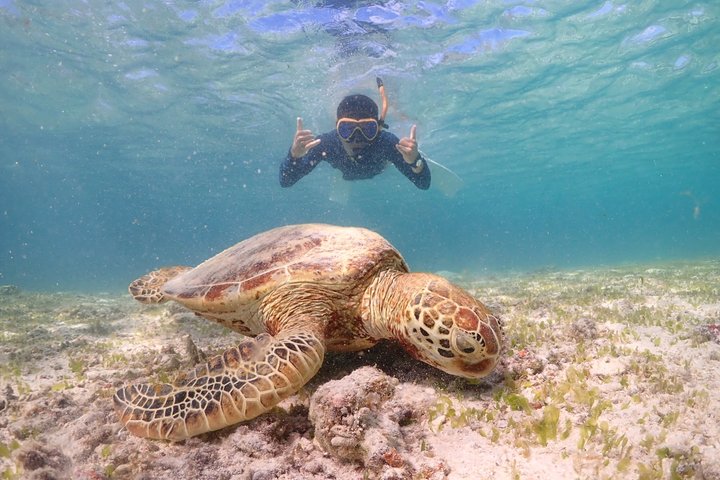 Tour privato di snorkeling di Miyakojima | Guida Inglese fluente
