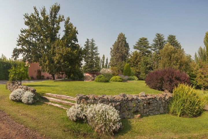 Visita y degustacion en el Enemigo + 2 Bodegas con almuerzo