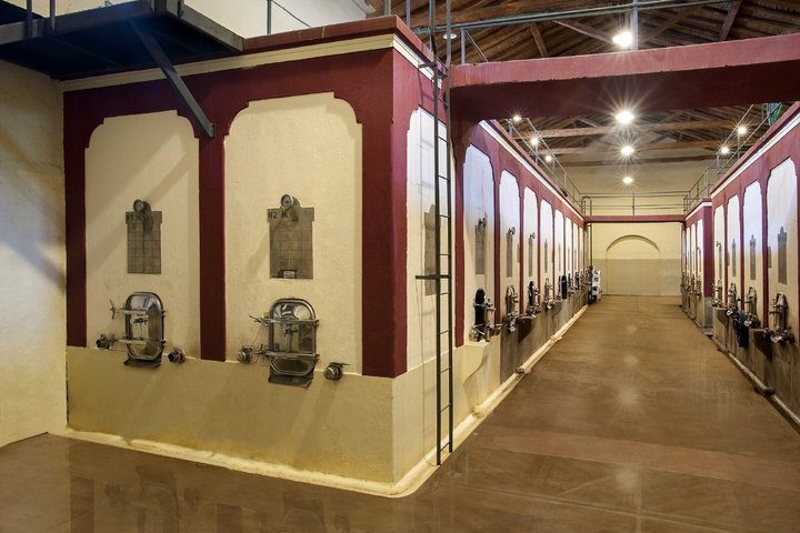 Visita y degustacion en el Enemigo + 2 Bodegas con almuerzo