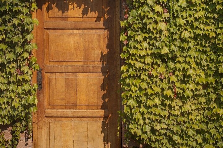 Visita y degustacion en el Enemigo + 2 Bodegas con almuerzo