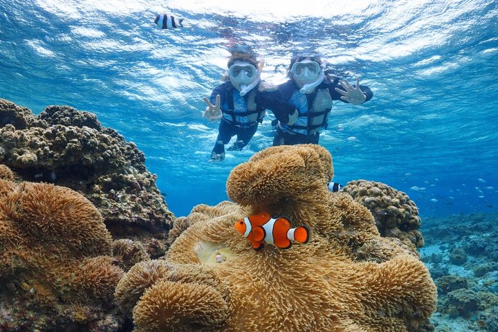 Tour privato di snorkeling di Miyakojima | Guida Inglese fluente